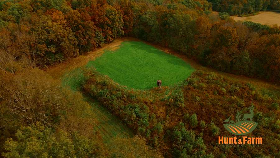 Still 2025-11-29 081237_1.24.1.jpg